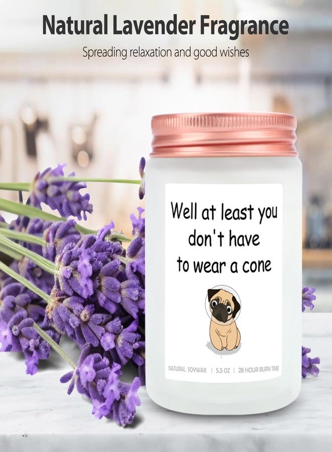 BEARAE Get Well Candle Gift, Surgery Recovery Gifts, Lavender Scented Candles Gifts for Women After Surgery, Funny Candle Gift for Women Men, at Least You Don't Have to Wear A Cone - 5.5oz - Image 5